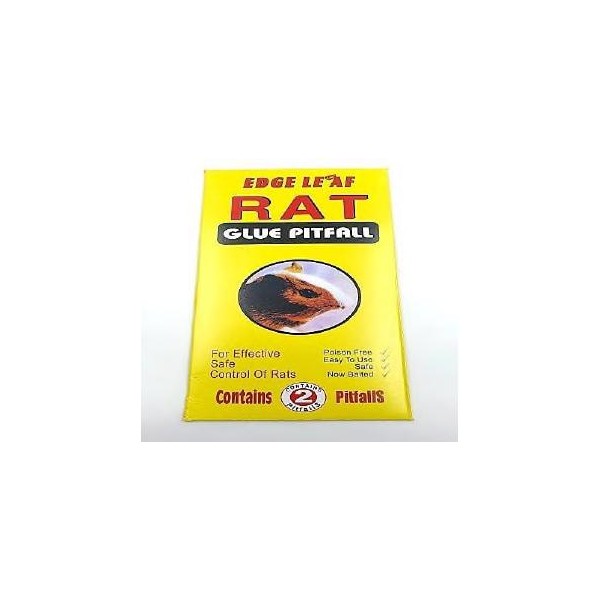 Siçan kleyi sarı 1K=288